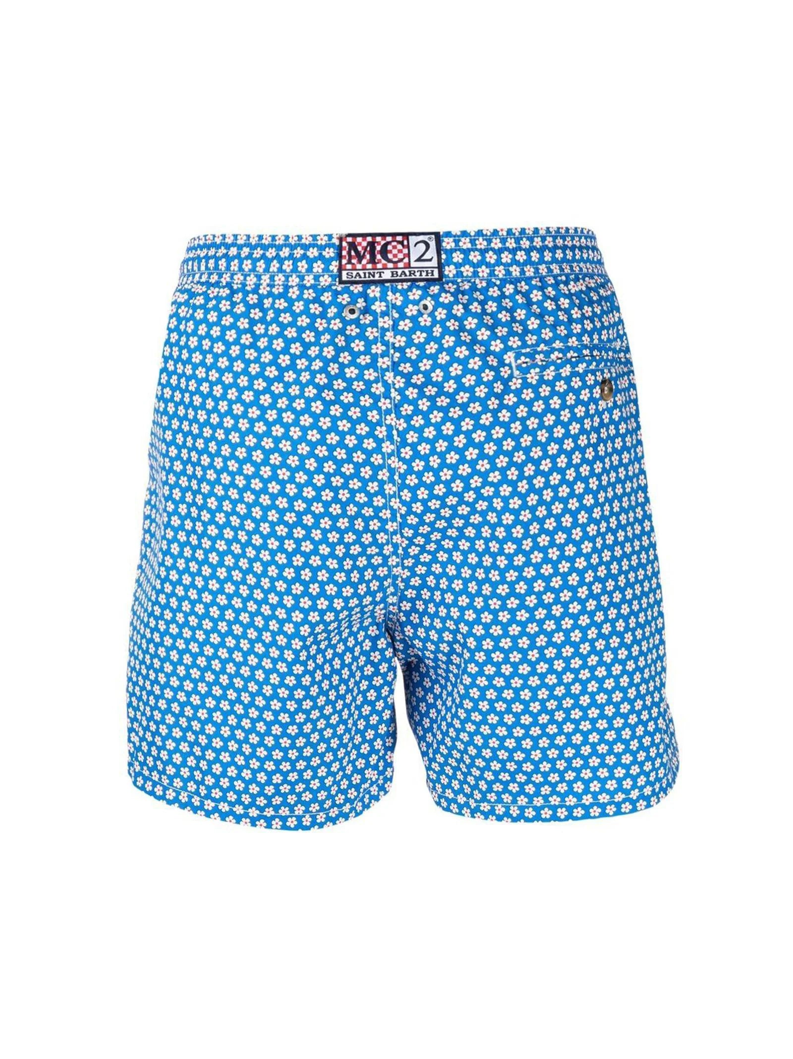 Boxer Mare Ashly-2