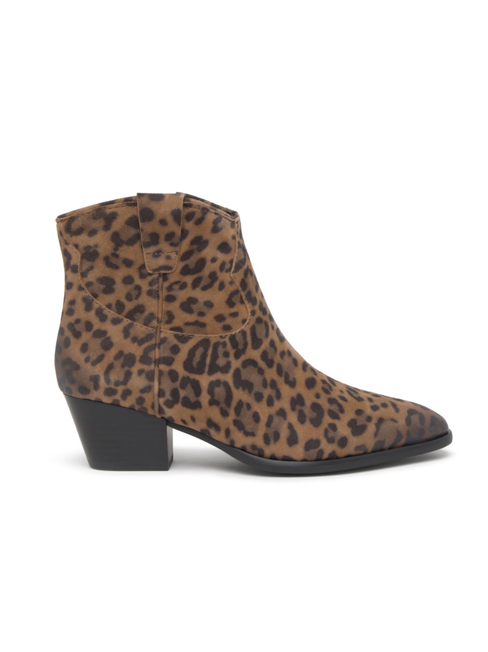 Ash Texano Basso Suede Leopard-1