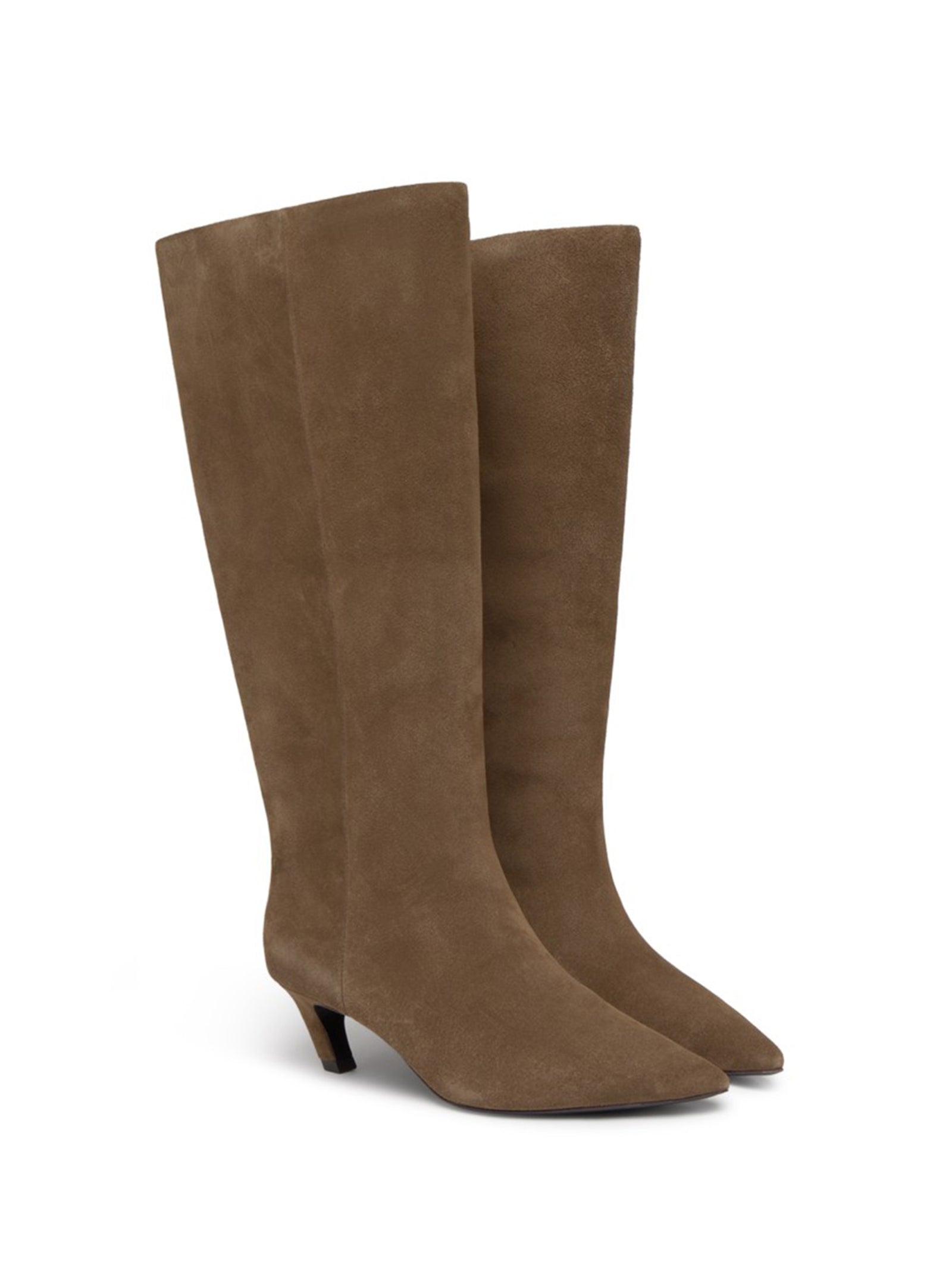 Ash Stivale Alto Suede Fango-2