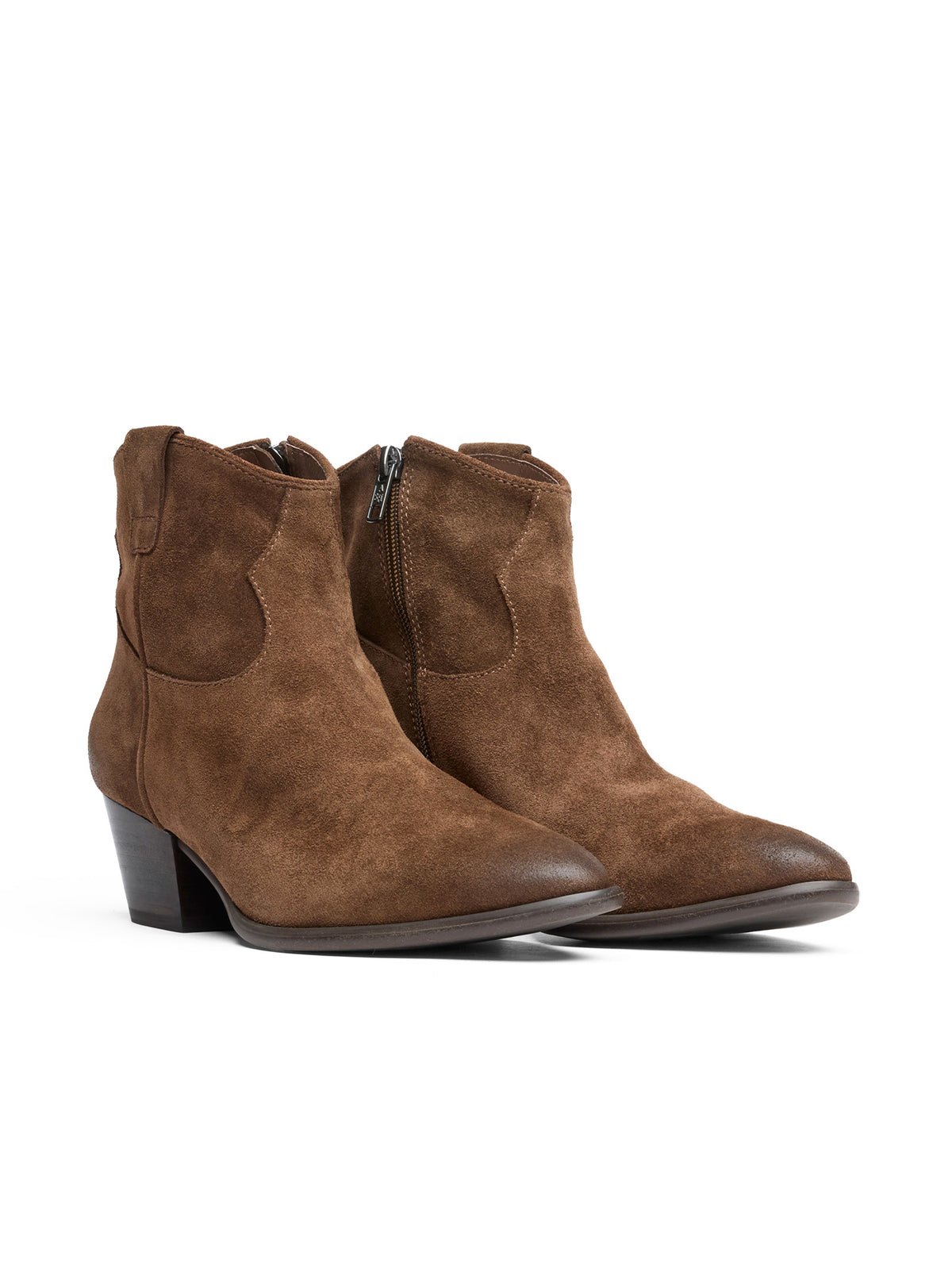 Ash Italia Stivaletto Texano Velours Mink-2