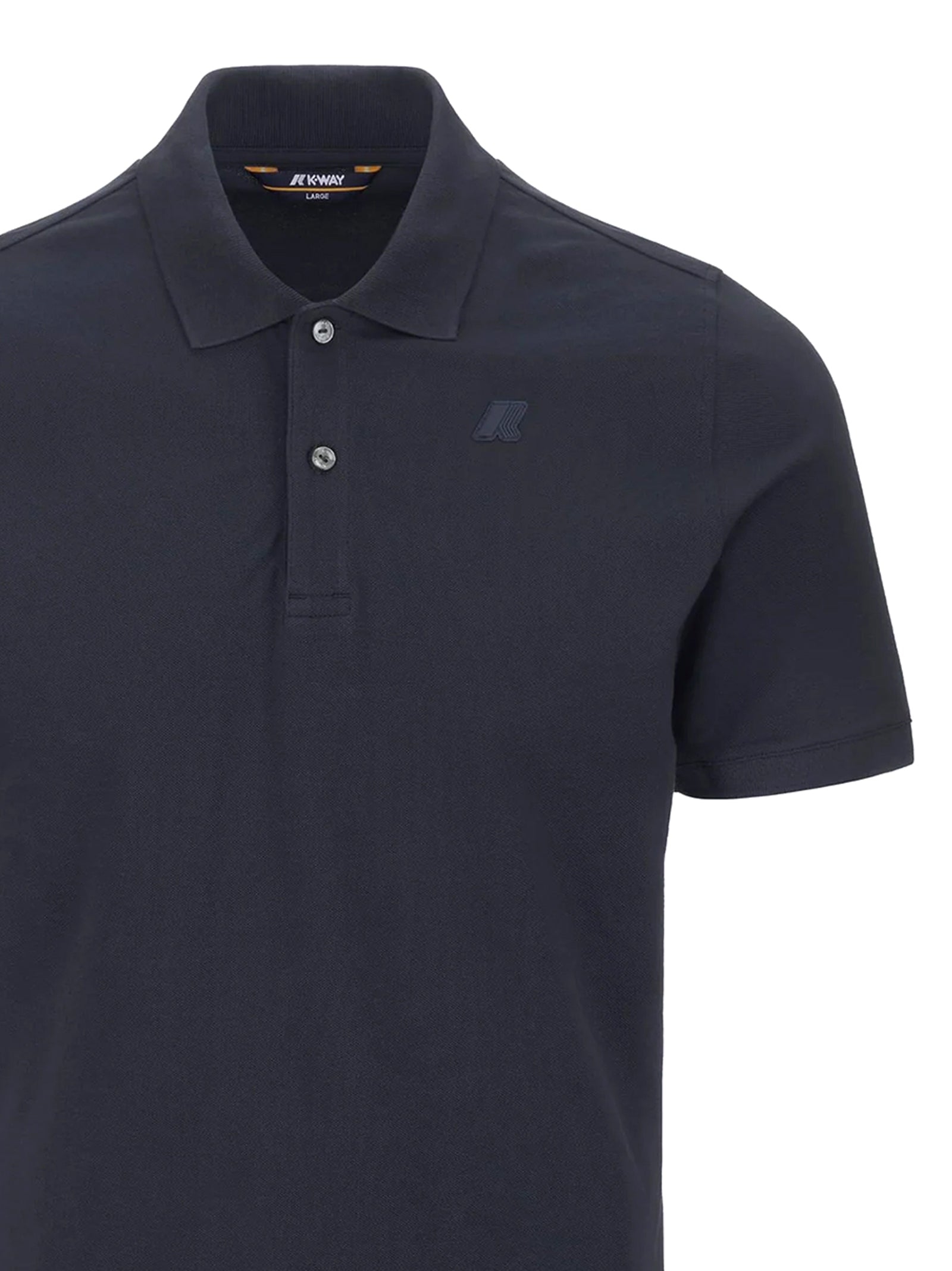 Amedee Polo-2