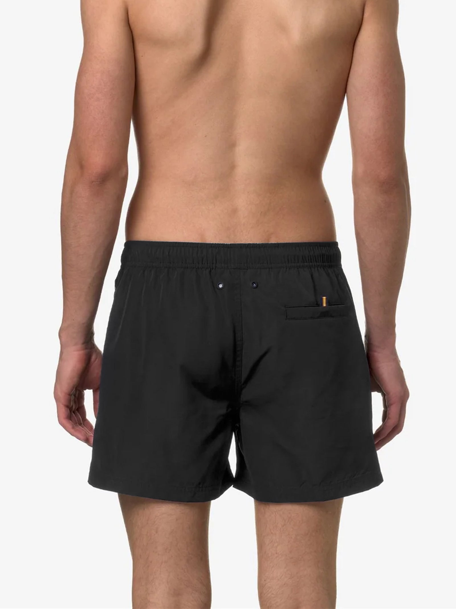 Hazel Boxer Mare-2