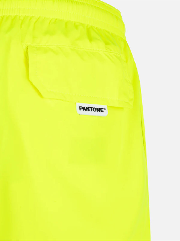 Boxer Mare Pantone-3