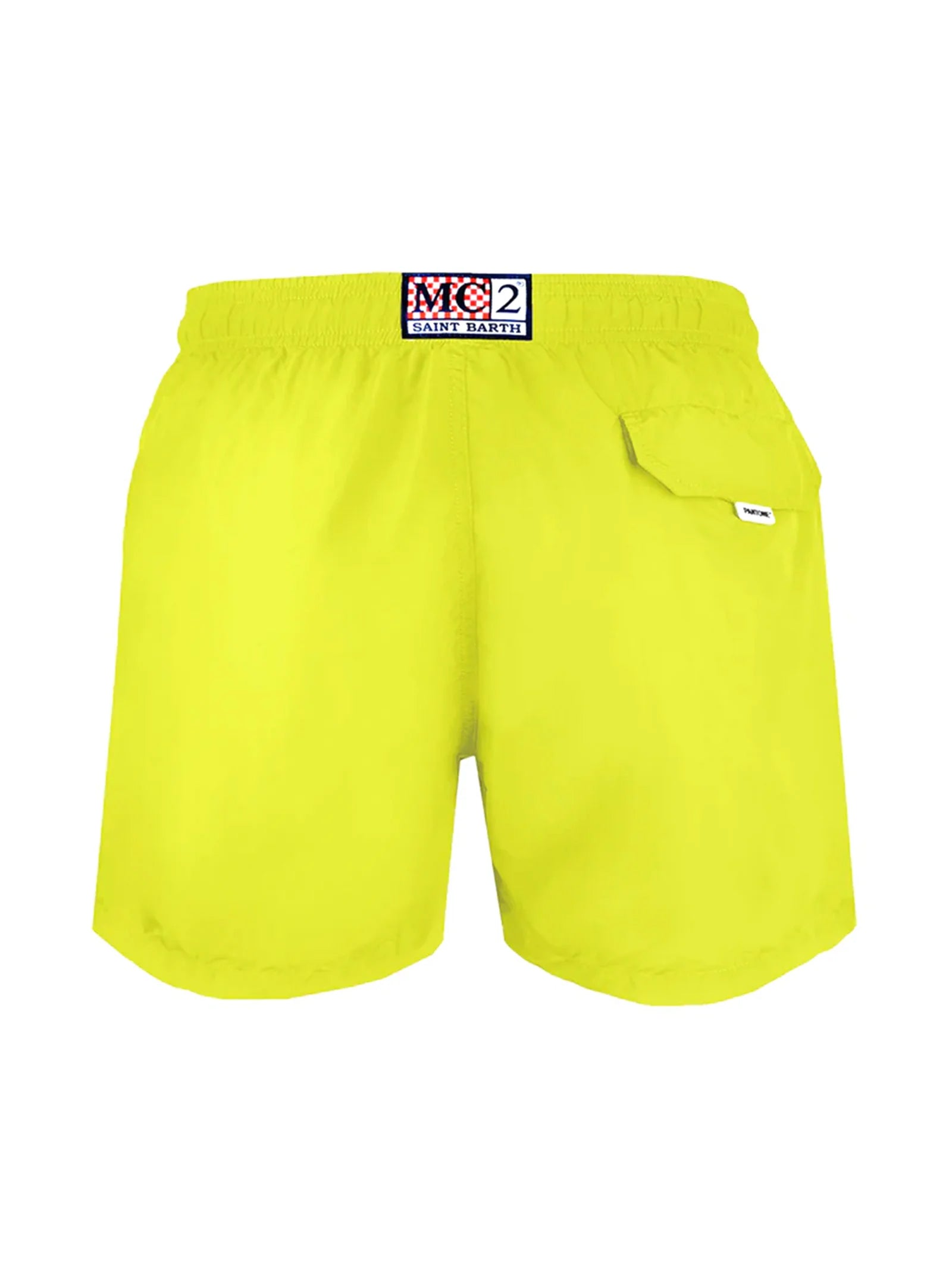 Boxer Mare-2