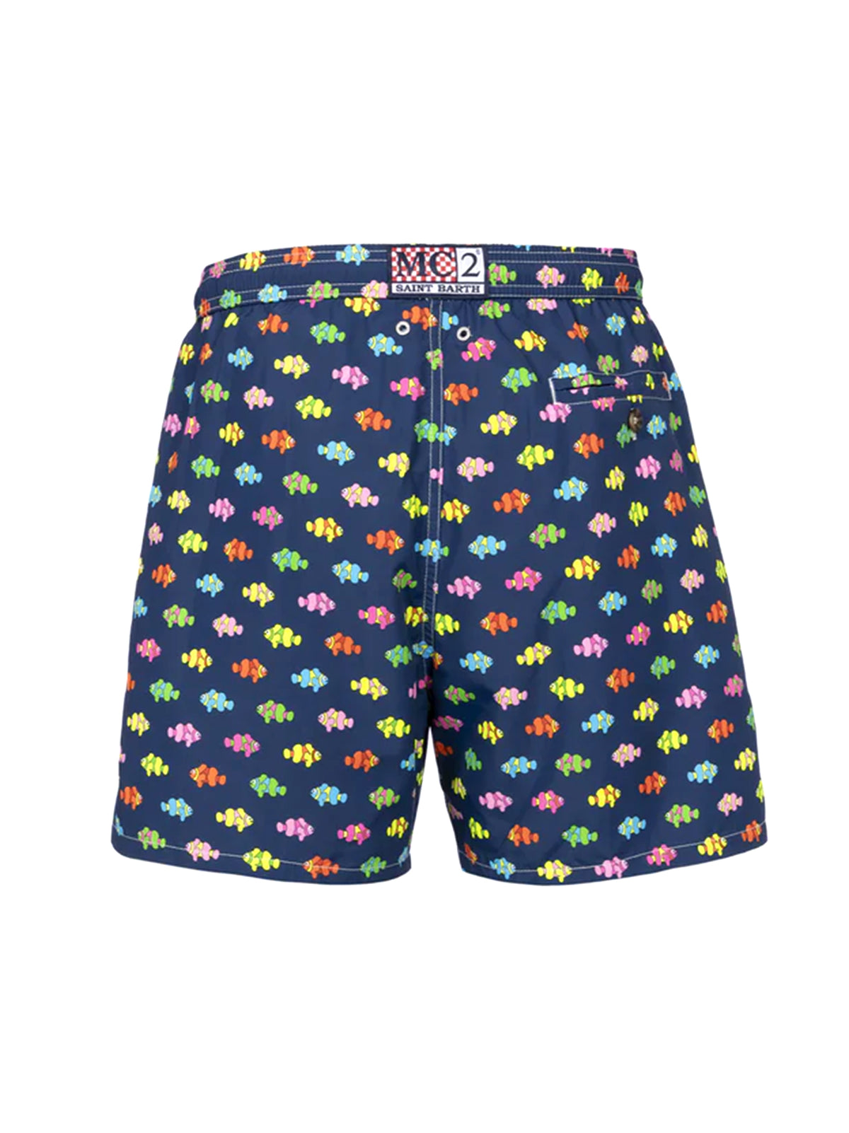 Boxer Mare Clownfish-2