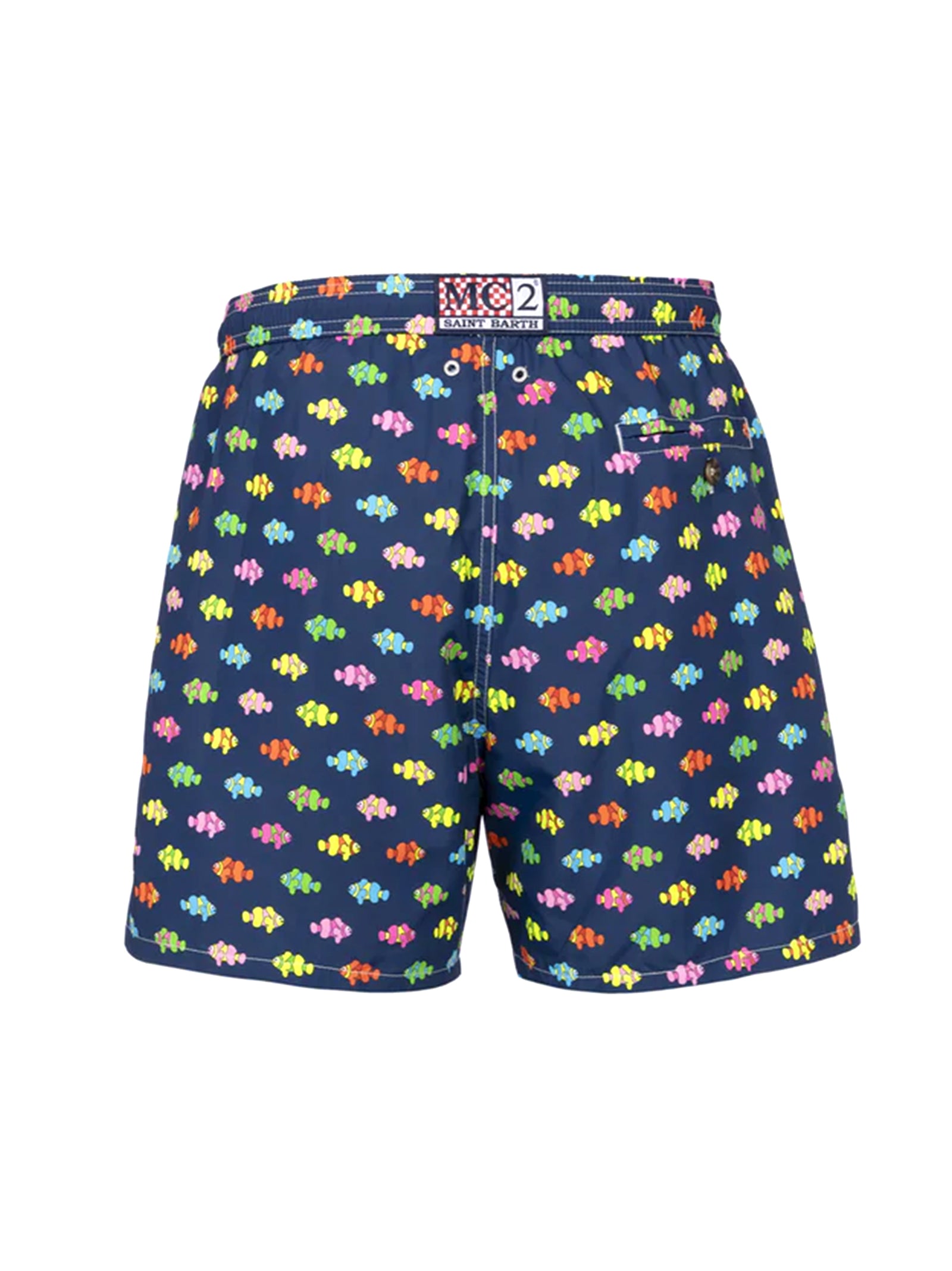 Boxer Mare Clownfish-2