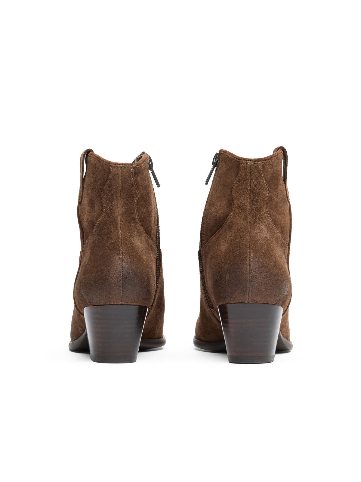 Ash Italia Stivaletto Texano Velours Mink-3