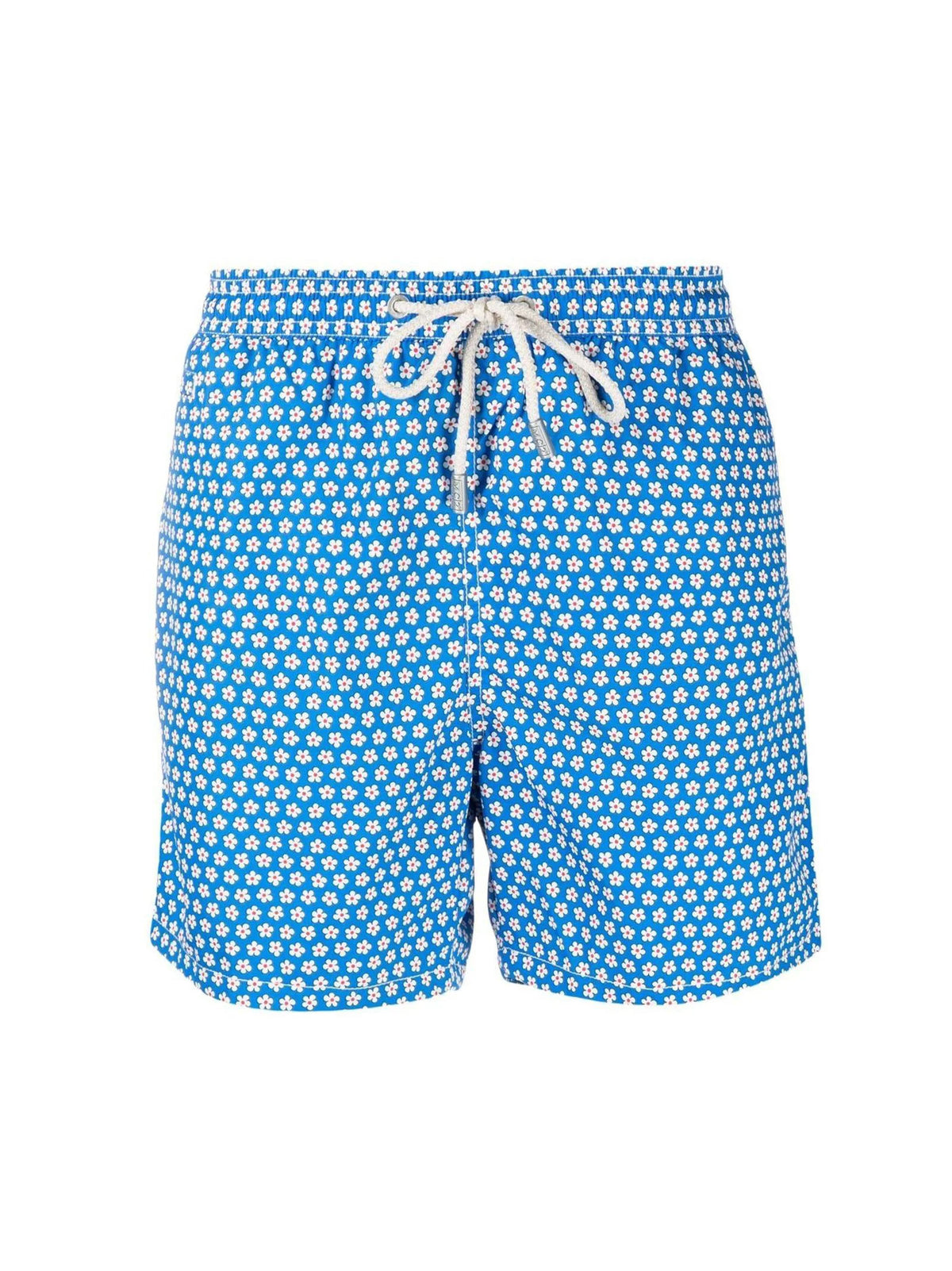 Boxer Mare Ashly-1