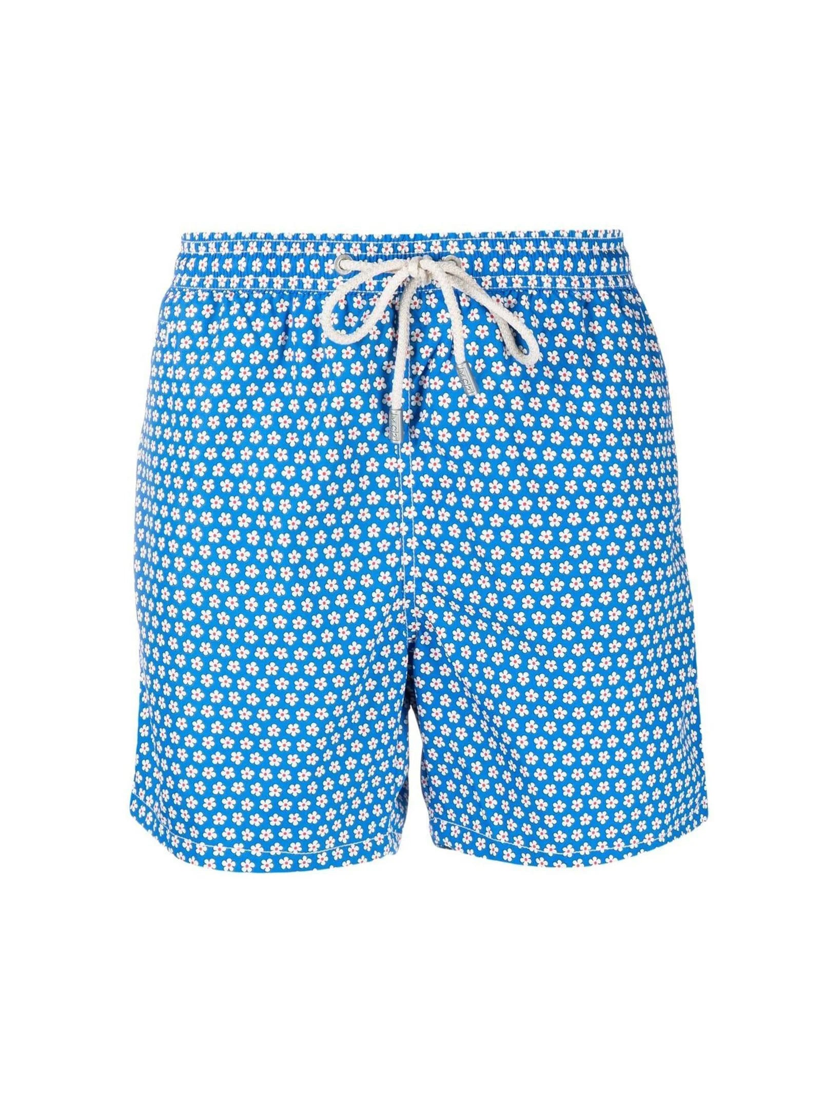 Boxer Mare Ashly-1