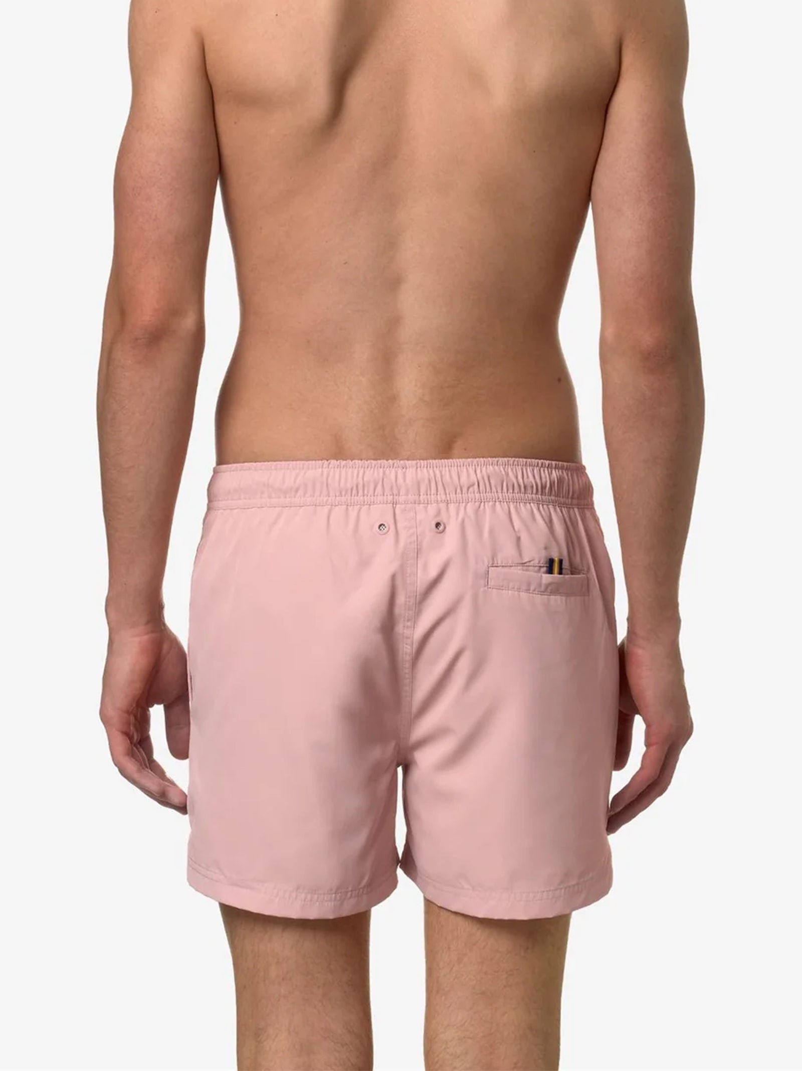 Hazel Boxer Mare-3