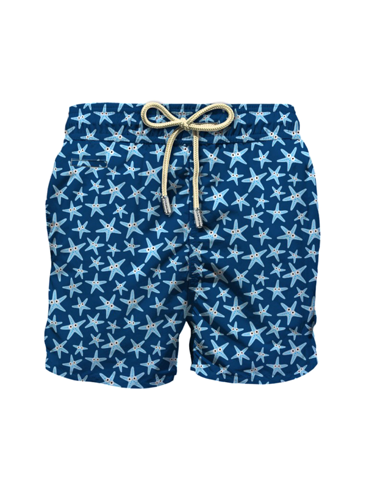 Boxer Mare Stelle-1